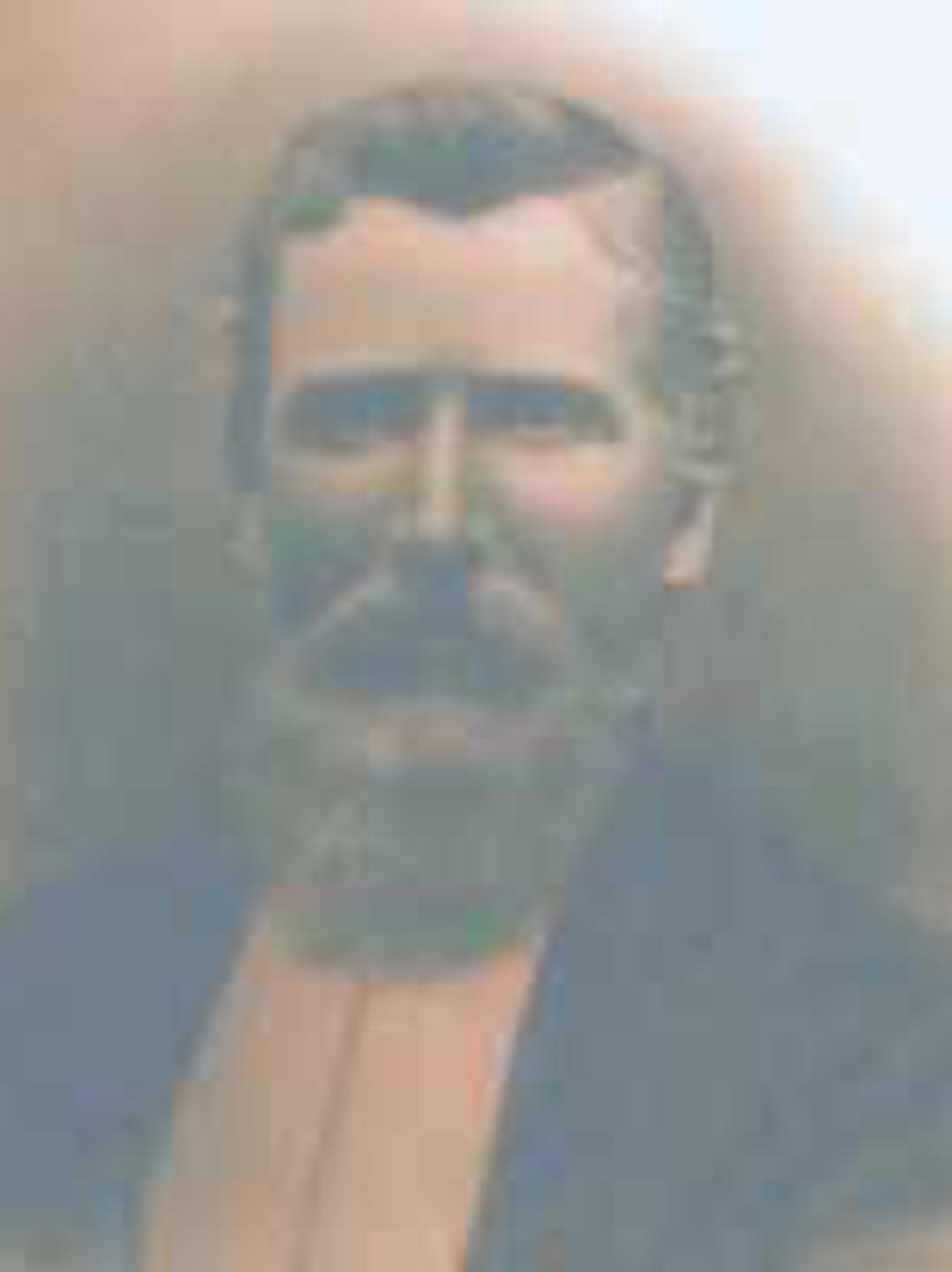 John Griffith Morgan (1840 - 1933) Profile